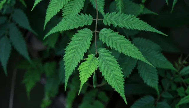 女性健康如何突破性能限制？